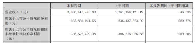 光伏背板龙头中来股份营收净利双降，光伏布局受挫