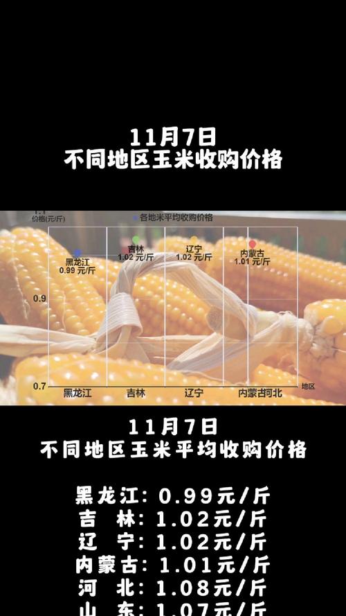 春节后国内玉米市场价格趋势_2025年粮食价格走势图_节后东北华北玉米价格走势分析