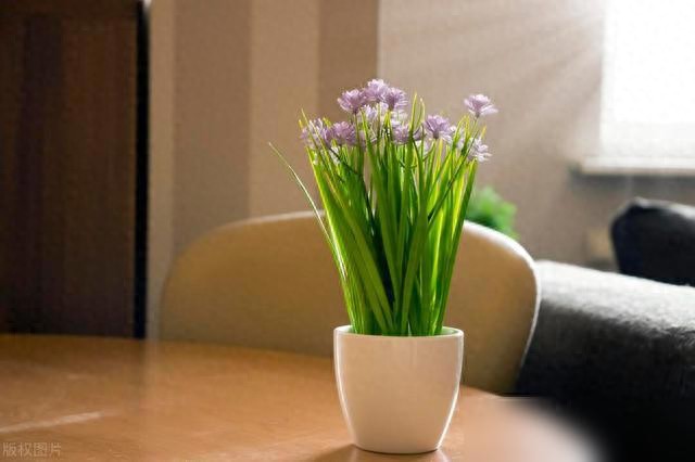 站在生命收银台前，你可曾想过支付了一天的时间货币？