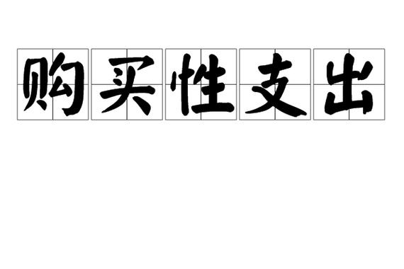 购买性支出的概念解析：含社会消费与政府投资性支出