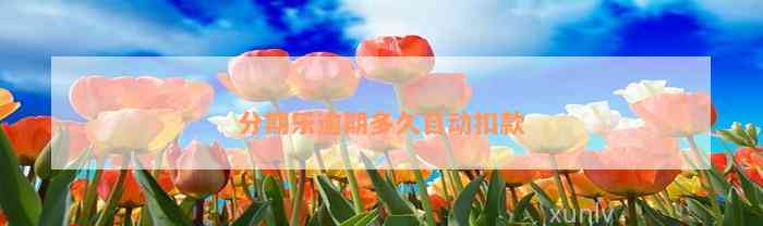 分期乐逾期自动扣款全解析！逾期一天、一周及以上有何不同？