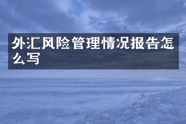 外汇风险管理情况报告：政策、识别评估与应对策略解析