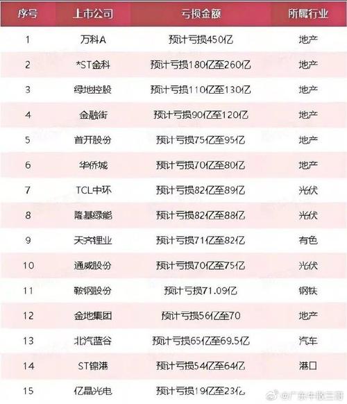 乐视网2024年度财报解读：净利润亏损且不进行利润分配