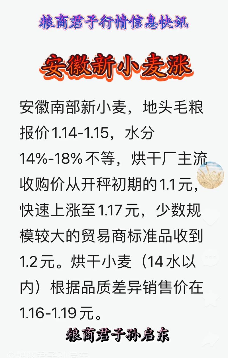 面粉厂收购标准_小麦价格行情 最新小麦收购报_小麦价格行情