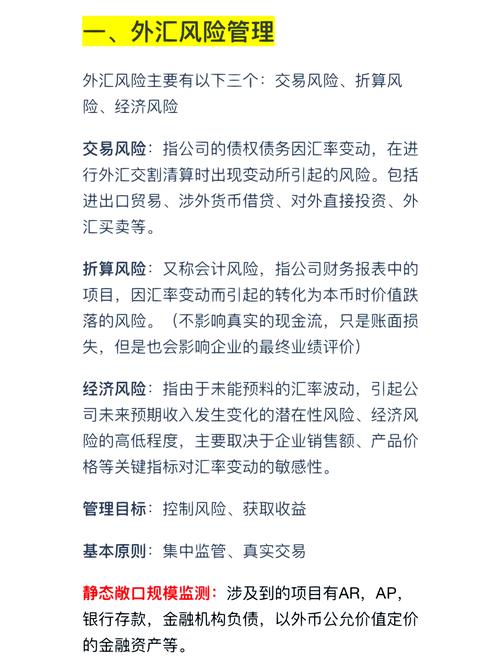 企业外汇风险管理实务：掌握关键技能，助力稳健发展