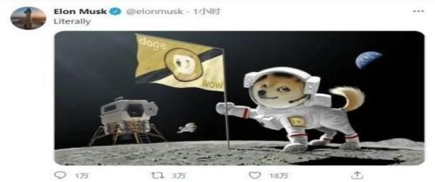 狗狗币未来最高能涨到多少_狗狗币价格走势_狗狗币暴涨原因