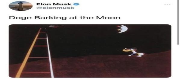 狗狗币未来最高能涨到多少_狗狗币价格走势_狗狗币暴涨原因