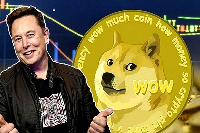 狗狗币年通胀率_狗狗币与美元保值对比_狗狗币未来最高能涨到多少