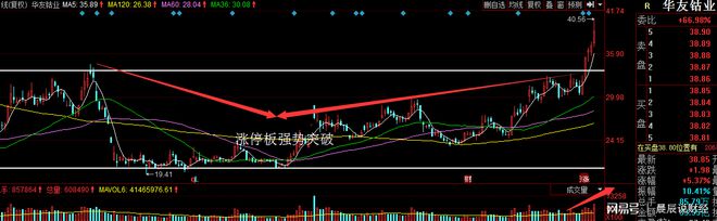 证券法信息披露制度_新证券法注册制解读_2025新证券法能通过吗