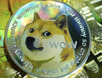 狗狗币一年涨幅超400倍_狗狗币单日暴涨200%_狗狗币未来达到100元