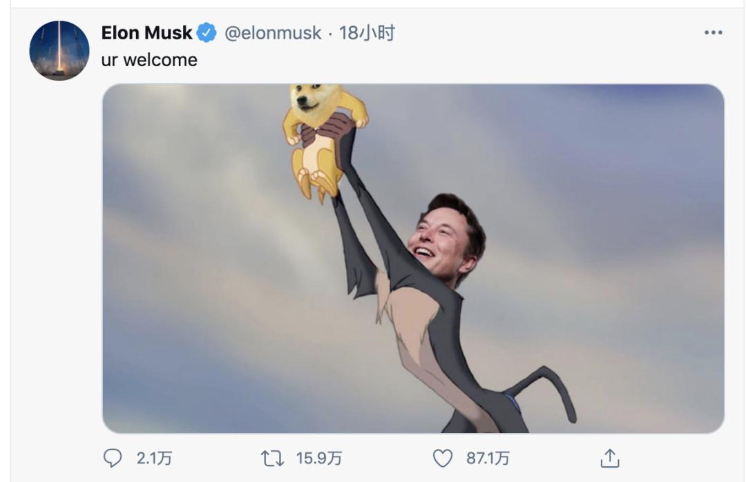 狗狗币未来最高能涨到多少_美国散户围攻狗狗币_马斯克助力狗狗币疯涨