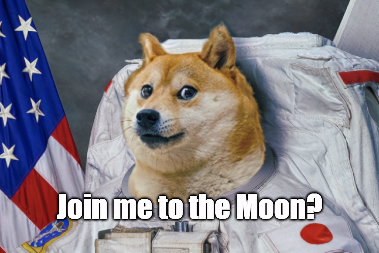 狗狗币对比特币的嘲讽_狗狗币的诞生过程_狗狗币未来达到100元