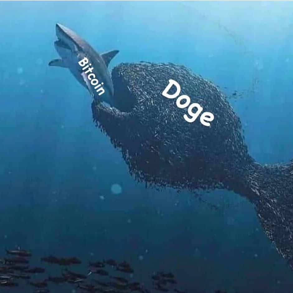 狗狗币对比特币的嘲讽_狗狗币的诞生过程_狗狗币未来达到100元