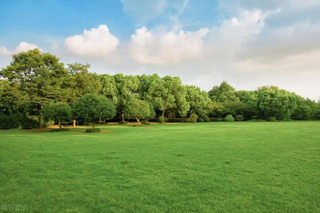 注册公司不易？工程进项票做账及抵扣销项税政策解读