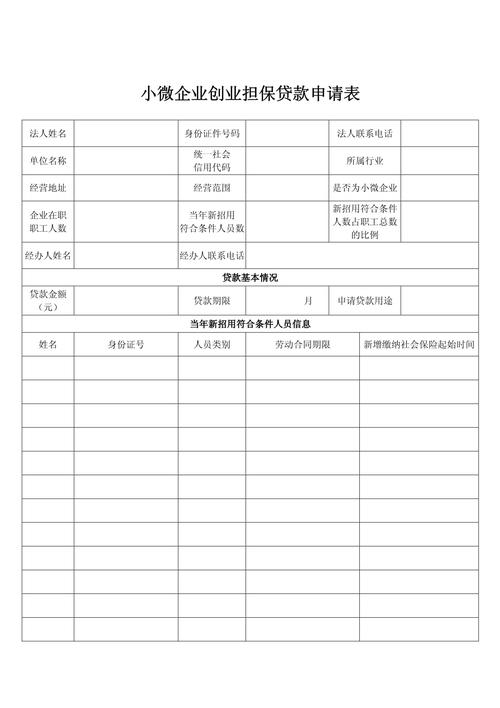 深圳小微企业创业担保贷款_小微企业新招用职工贷款条件_厦门小微企业贷款条件