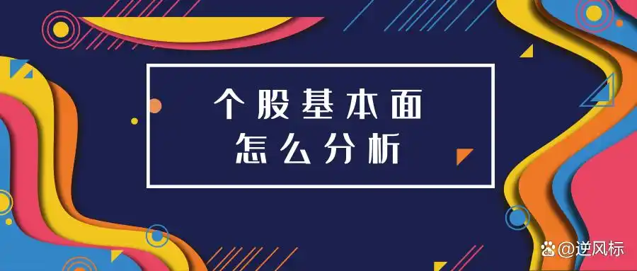 公司基本面分析：财务、市场地位、竞争优势及管理团队全解析