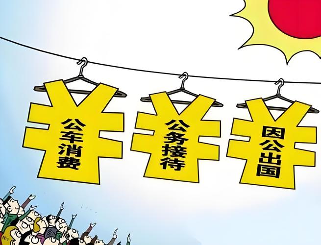 三公经费是指啥？2011 年中央单位六成三公经费花在哪了？