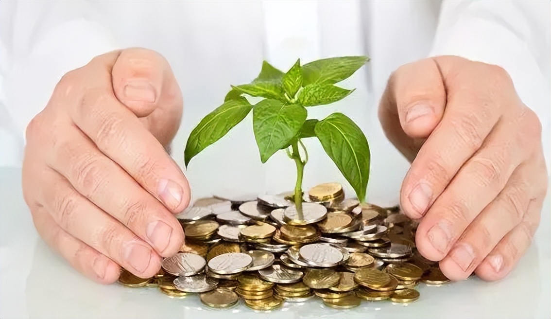 投资健康_财富管理_现在投资什么最能升值