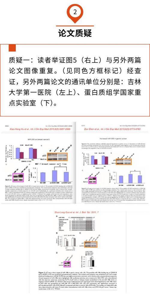 各类文献数据库引证、参考及共引相关，两篇学位论文研究情况展示