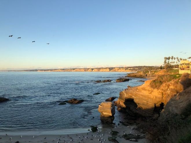 春节期间国际油价活跃！两桶油股票在啥情况下会涨？
