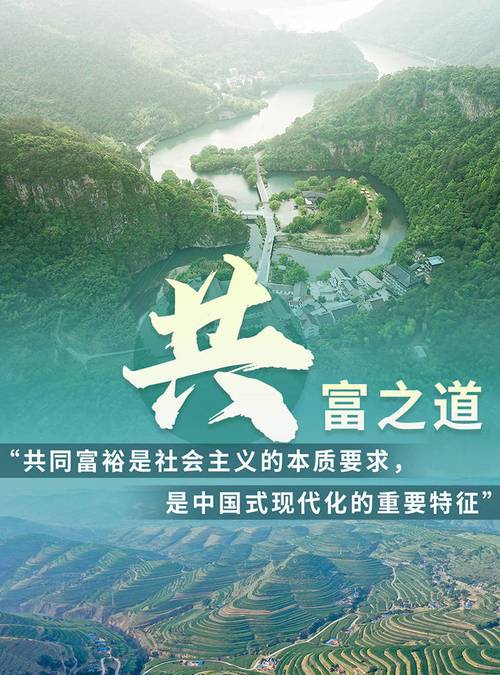 走共同富裕道路为何离不开计划经济？公知言论存何问题？