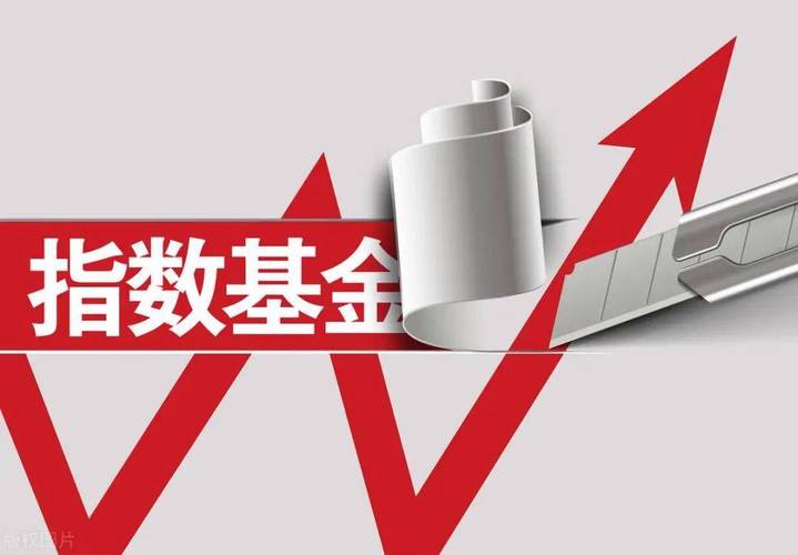 基金投资避坑_追涨杀跌羊群效应_基金投资会亏吗