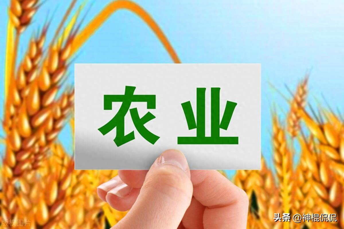 农业公司增值税优惠政策大揭秘，这些情况可免税