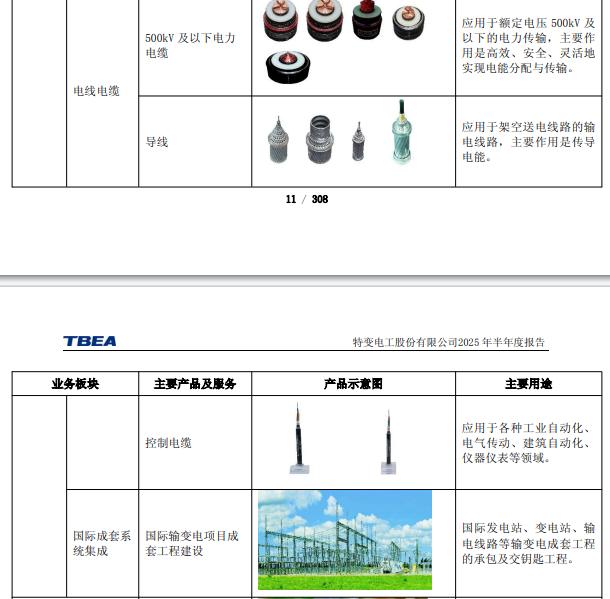 特变电工新能源业务发展_特变电工股份有限公司 股票代码_特变电工股票代码600089.SH