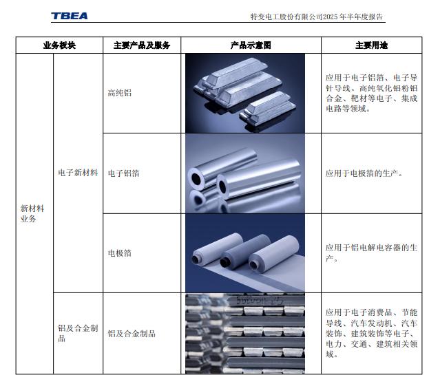 特变电工股份有限公司 股票代码_特变电工新能源业务发展_特变电工股票代码600089.SH