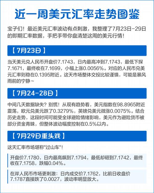 汇率货币互换风险进行分析_货币互换进行汇率风险_汇率货币互换风险进行评估