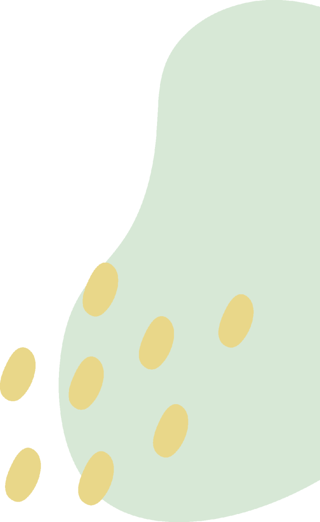 新公司法 实收资本_非货币财产出资缴纳方式_公司调整认缴出资期限