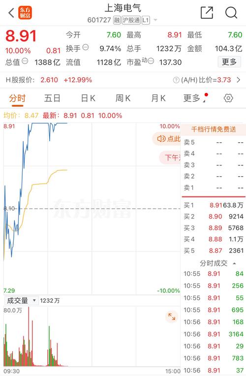 上海电力股票涨停收盘，资金流向及投资逻辑分析